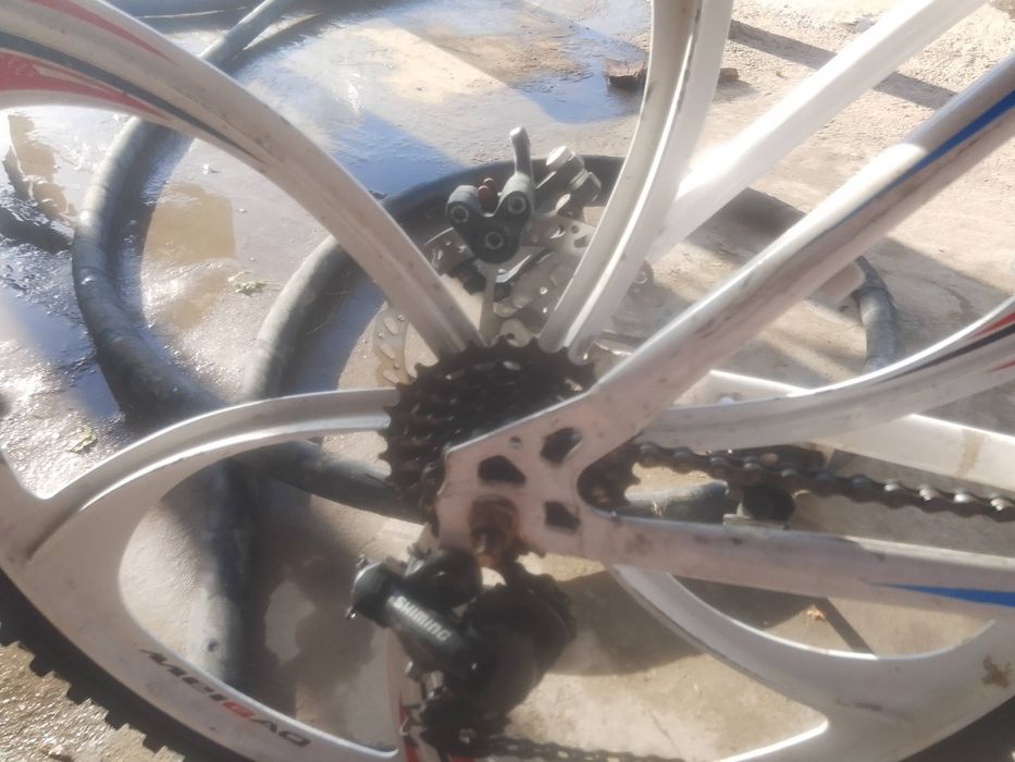 Бмв велик спортивный