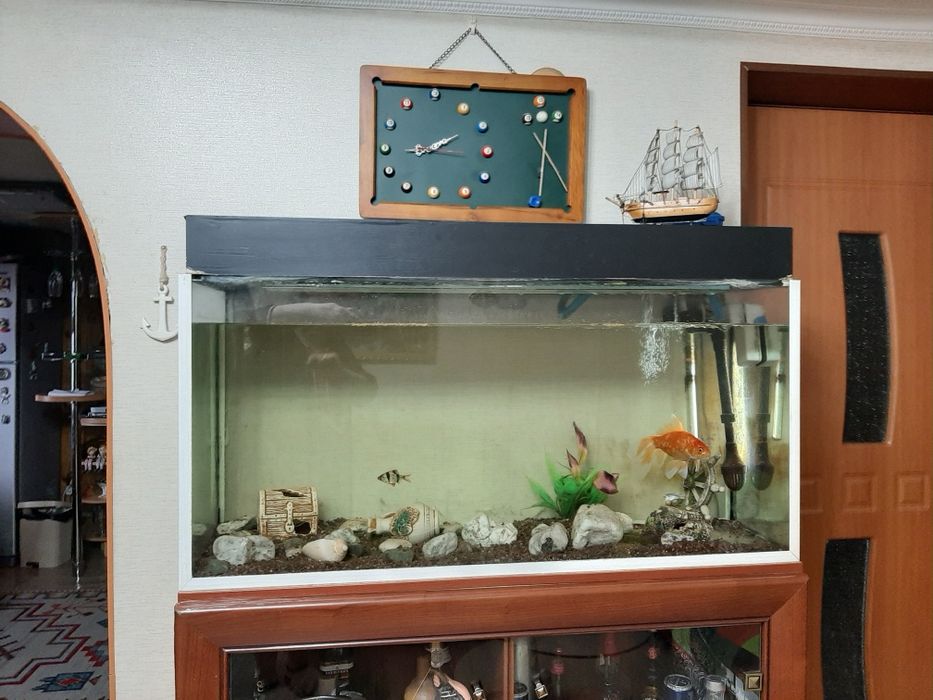 Аквариум на двести литров