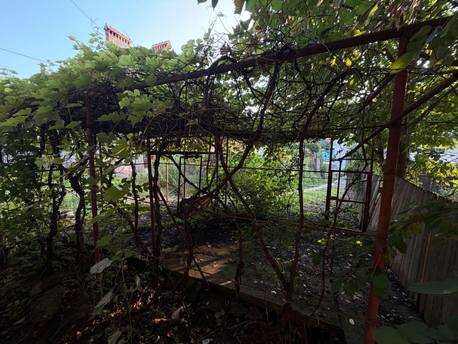 Apartamente de vânzare Buhusi