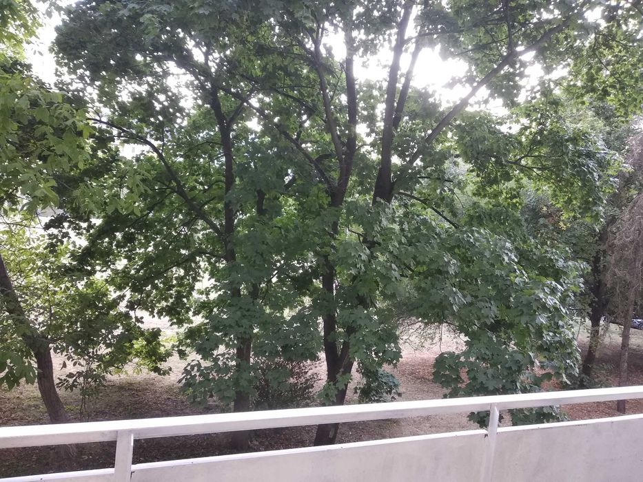 Дава се под наем Тристаен апартамент в София, Младост 1 - 80 кв.м за 892.5 € - Снимка #22