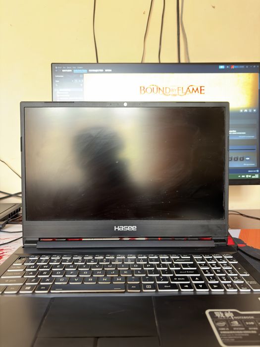 Ноутбук Hasee Z8-CA5NB