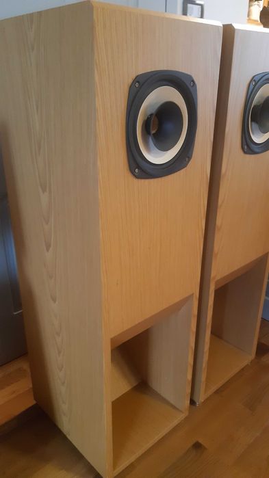 Хорни с FOSTEX FE206En