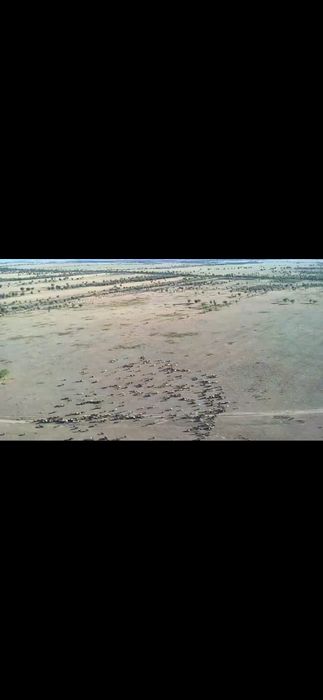 Участок 1100 соток