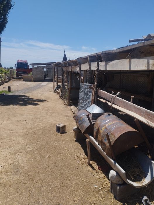 фазенда уй сатылады