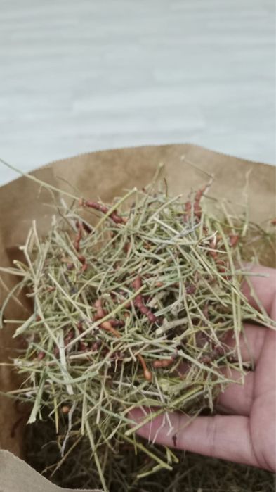 Жантақ шай сатылады