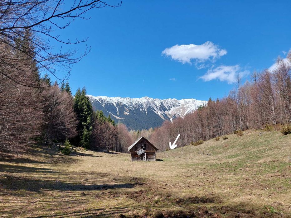 Teren Ciocanu Sirnea