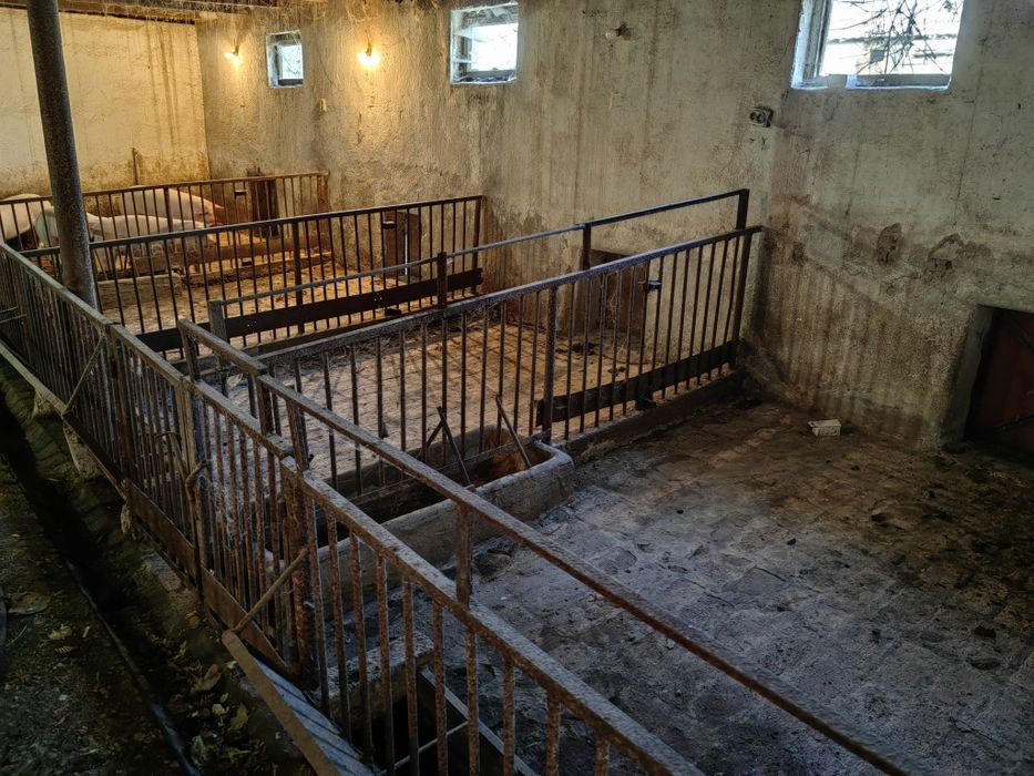 Продава се Промишлена сграда в Пловдив, Каменица 1 - 430 кв.м за 100 €/кв.м - Снимка #13