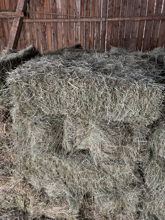 Balot de fan si otava