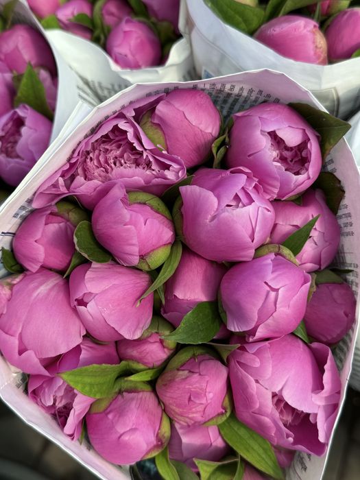 Свежие пышные букеты