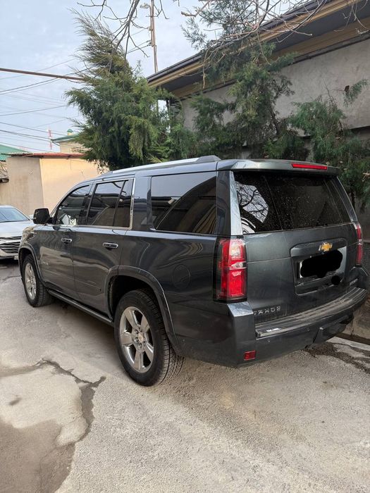 Tahoe Primer  2020-yil