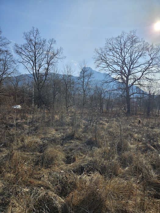 Teren intravilan de vânzare -  Rimetea