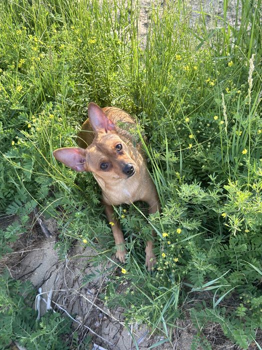 Кабель ищет себе подругу