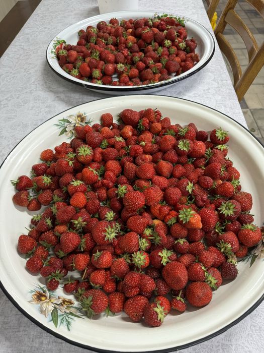 Продаётся местная клубника