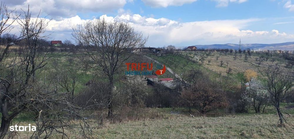 Teren 1654 mp zona Cetate Schit