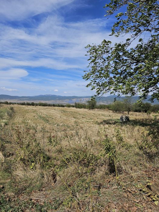 Продава се Парцел в Сапарева баня - 3096 кв.м за 7 €/кв.м - Снимка #6