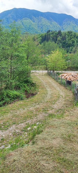 Teren 5600mp in localitatea Malaia