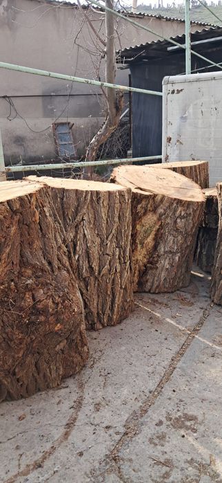 Пенок  для разделки