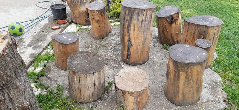 Trunchi (Butuci) din Nuc