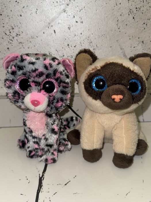 Колекционерски котета