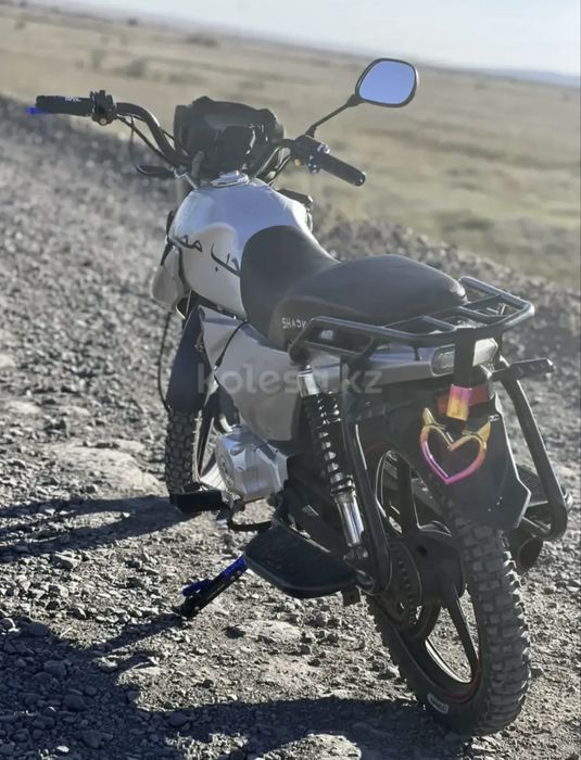 альфа шарк 125куб