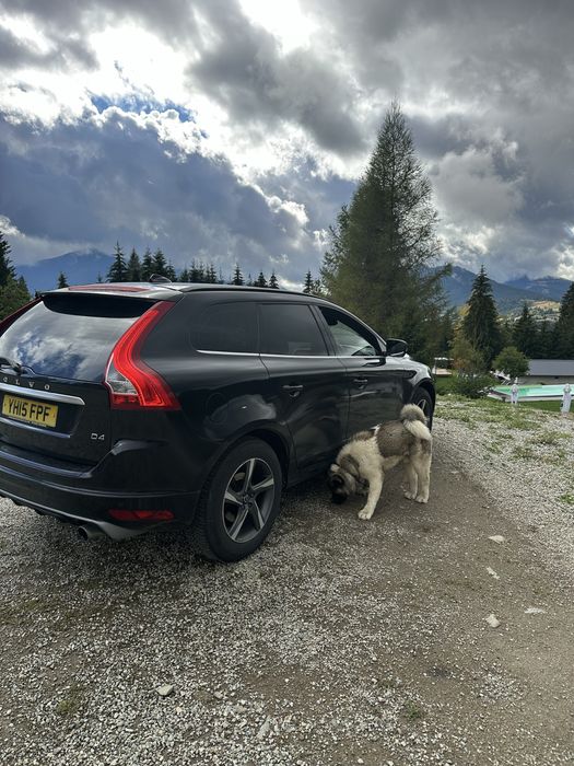 Volvo XC60 2.0D 181cp 2015