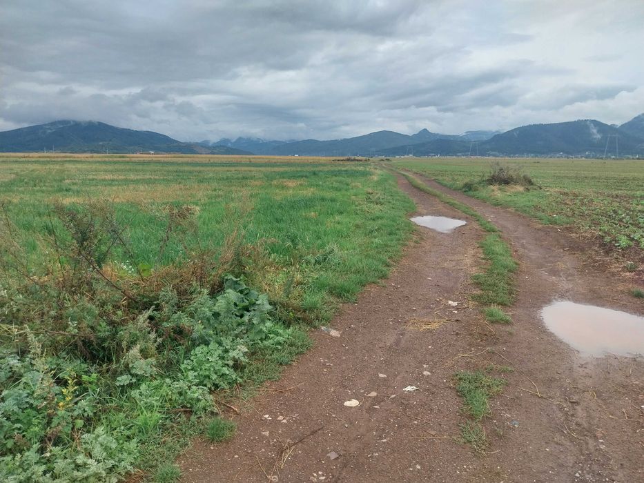 Teren intravilan si extravilan, 33100 mp, Tarlungeni, 200000 euro