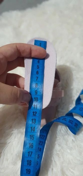 Pantofiorii cenușăresei