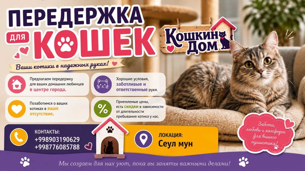 Передержка для кошек