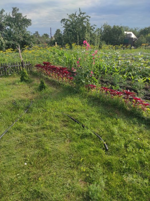 Продам дачу Сады 1  КВ 12