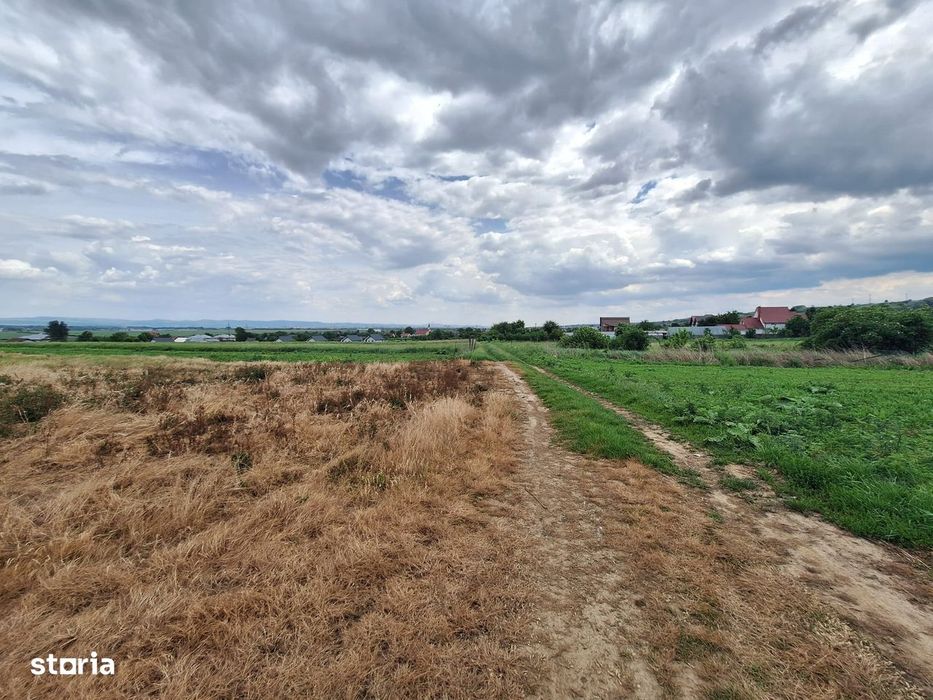 Loturi 500-1800mp Varianta Margineni-Hemeius