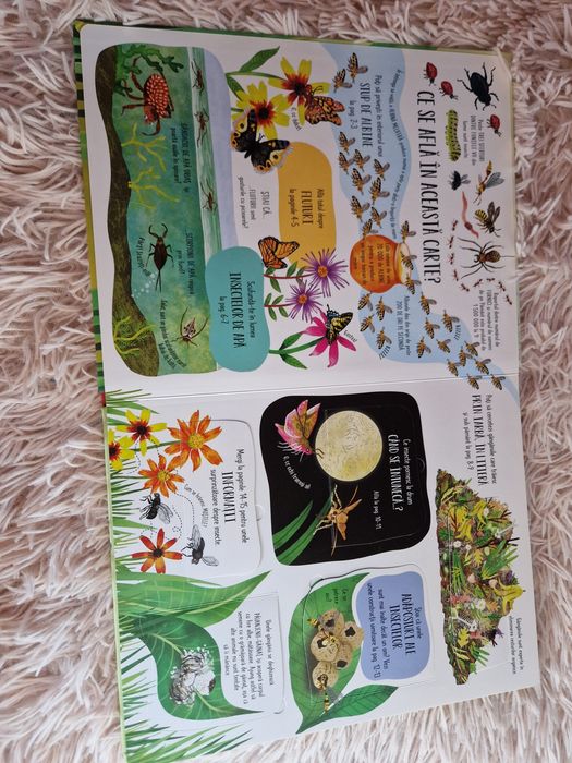 Cărți cu clapete  FLUTURI ȘI ALTE INSECTE