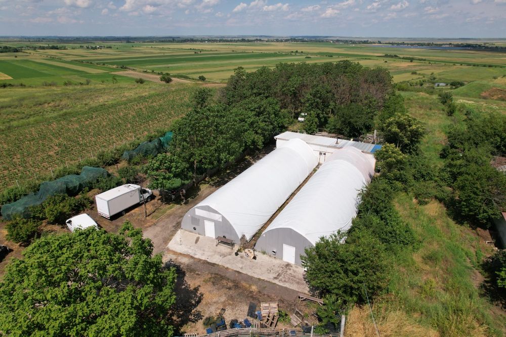 Afacere la cheie - Ciupercărie Champignon 8000m2 + livada