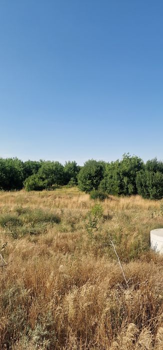 Продава се Парцел в Видин, Нов път - 23000 кв.м за 1 €/кв.м - Снимка #5