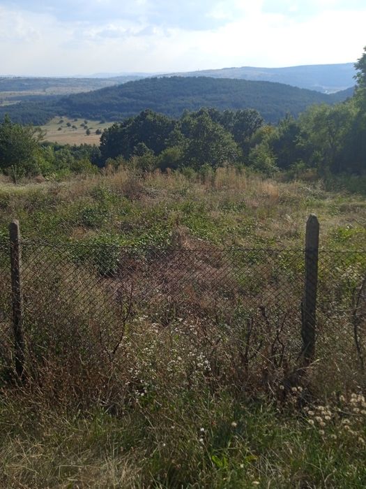 Продава се Парцел в с. Дреново, Област София-област - 852 кв.м за 17 €/кв.м - Снимка #1