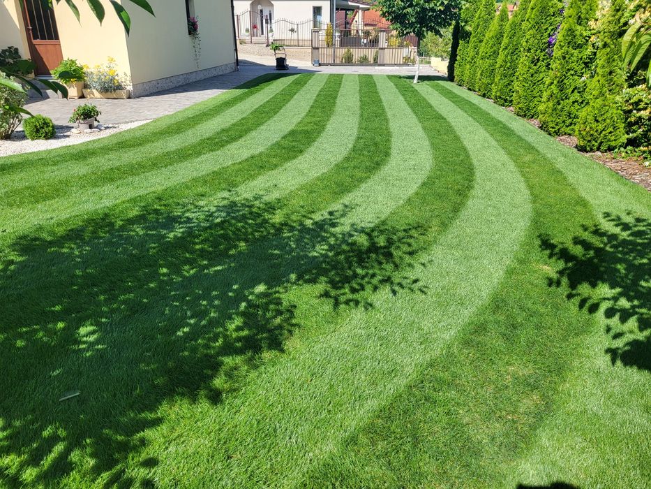 Întreținere gazon ( tuns , scarificare , îngrășământ )