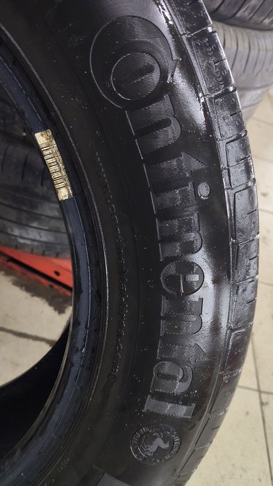 Шины континента ль лето