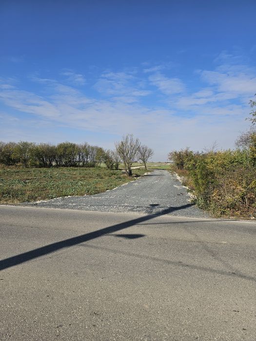 Ocazie Teren Domnesti Clinceni 761mp