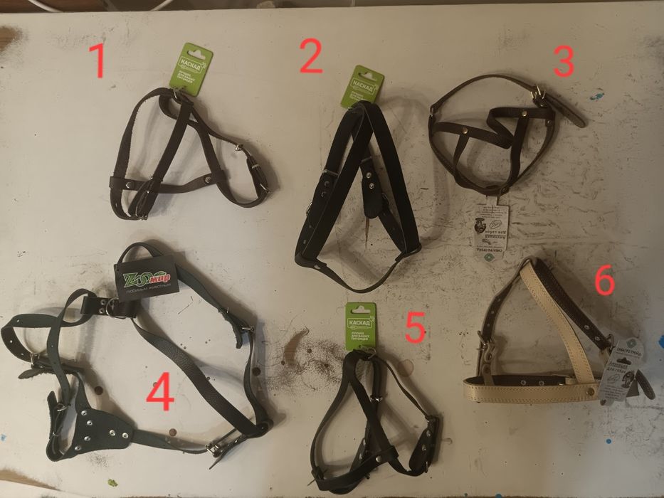 Аммуниция для собак (шлейка, ошейник,)