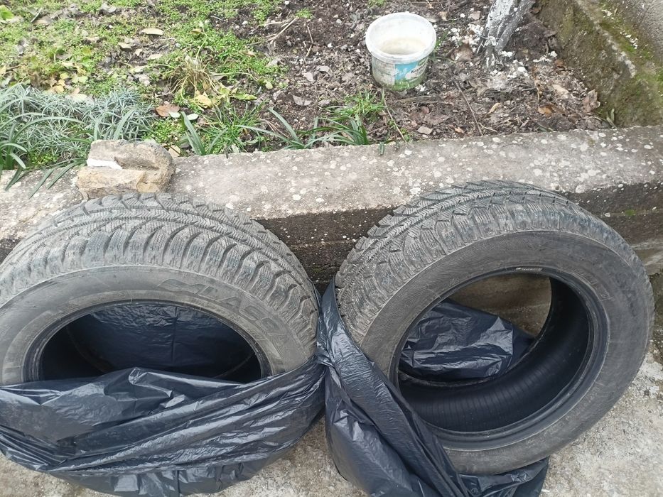 Зимни гуми LASSA ICEWAYS 2  r14