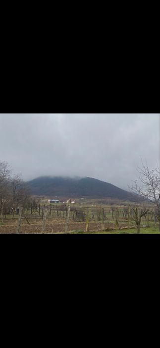 Vand teren intravilan Poplaca, 400 mp