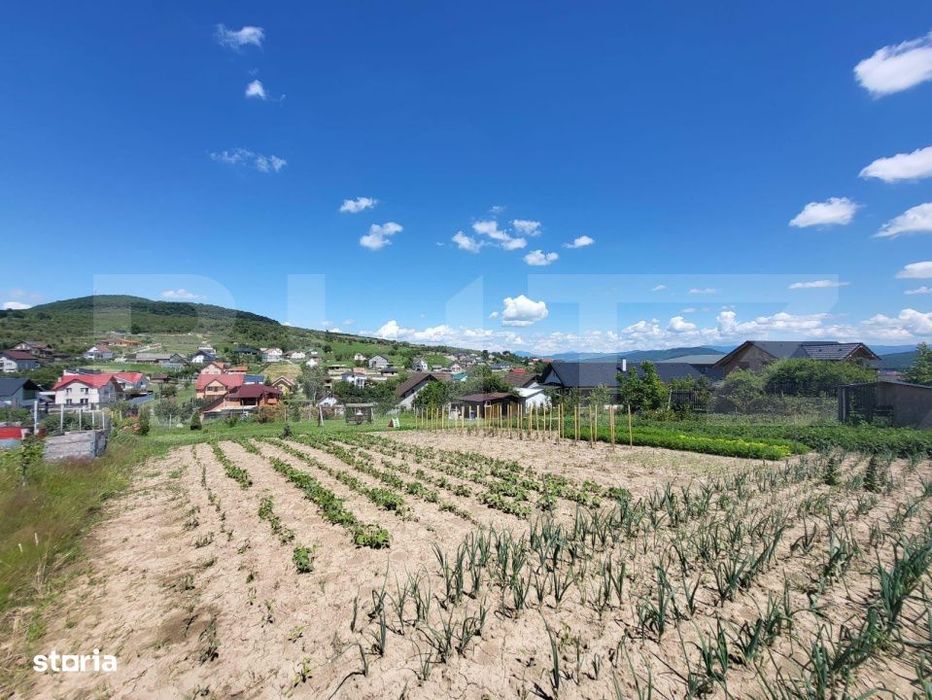 Teren 1400 mp – Viitor Intravilan, Zona Drumul Tarpiului - LEONI