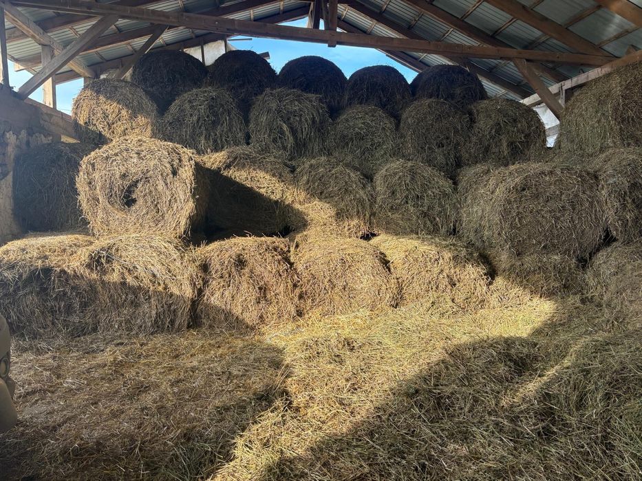 Furaje -Baloti Lucerna