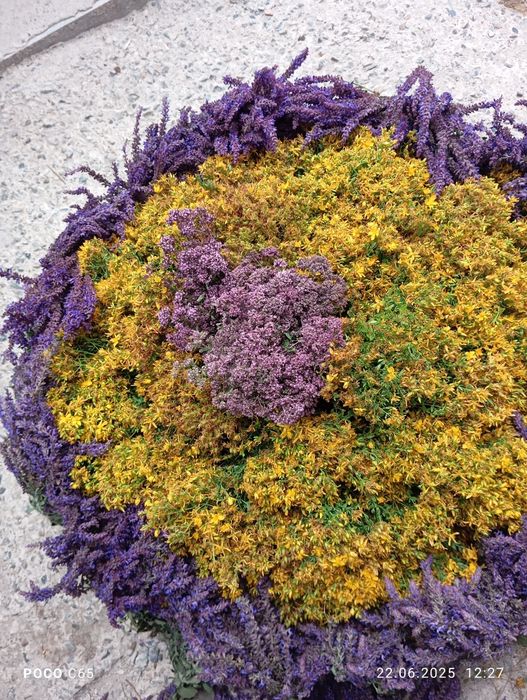 Травы   для бань