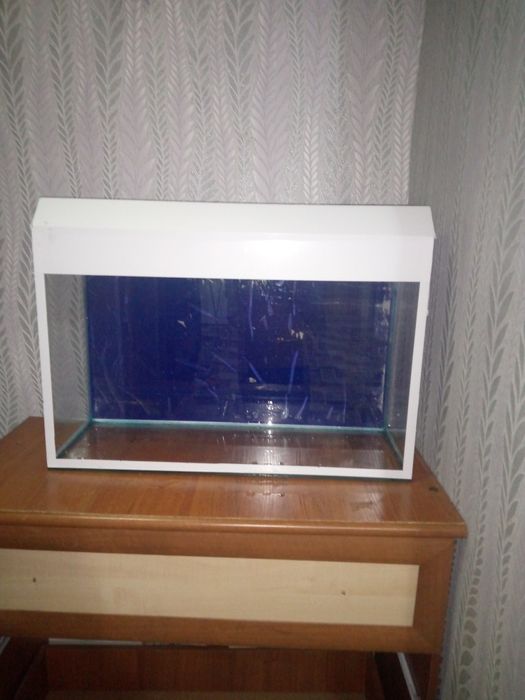 Аквариум для рыб