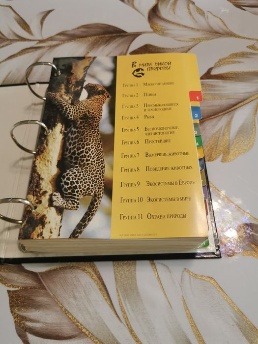 Книги о животных