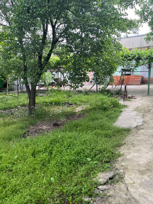 Андижан, Зеленый мост, Ховли сотилади