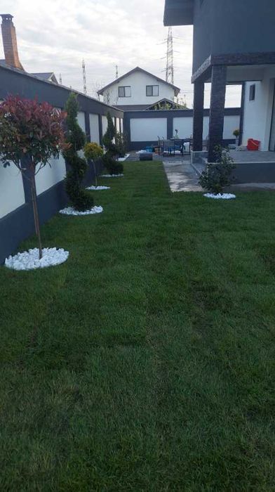 Gazon de Calitate Superioară – Verifici Marfa la Descărcare