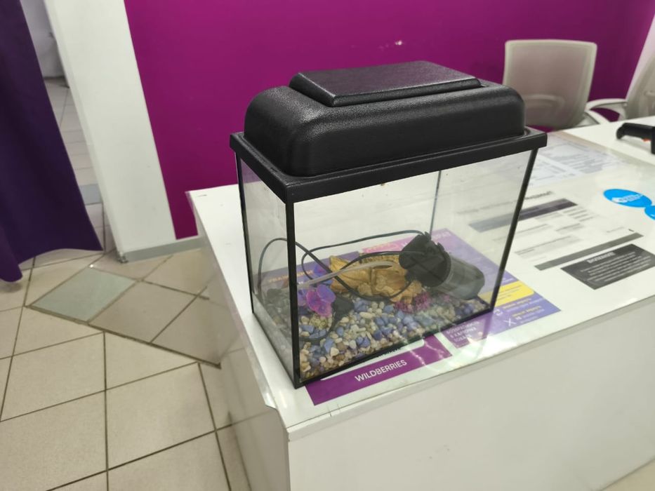 Аквариум в идеале все в комплекте