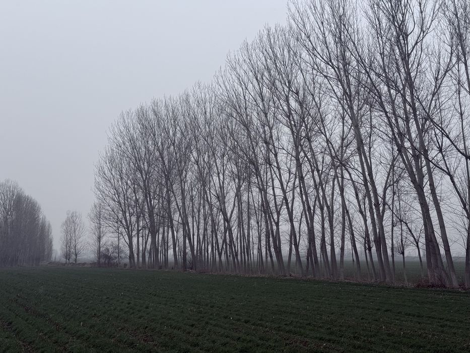 Тераклар сотилади оптом | Terak sotiladi