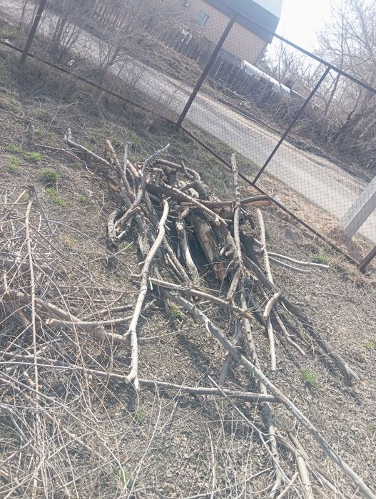 Отдам на дрова бесплатно